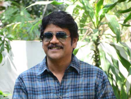 stylish heroines for nagarjuna,king nagarjuna,soggade chinni nayana news,   స్టైలిష్ క‌థ కావాలంటున్న నాగ్‌..!